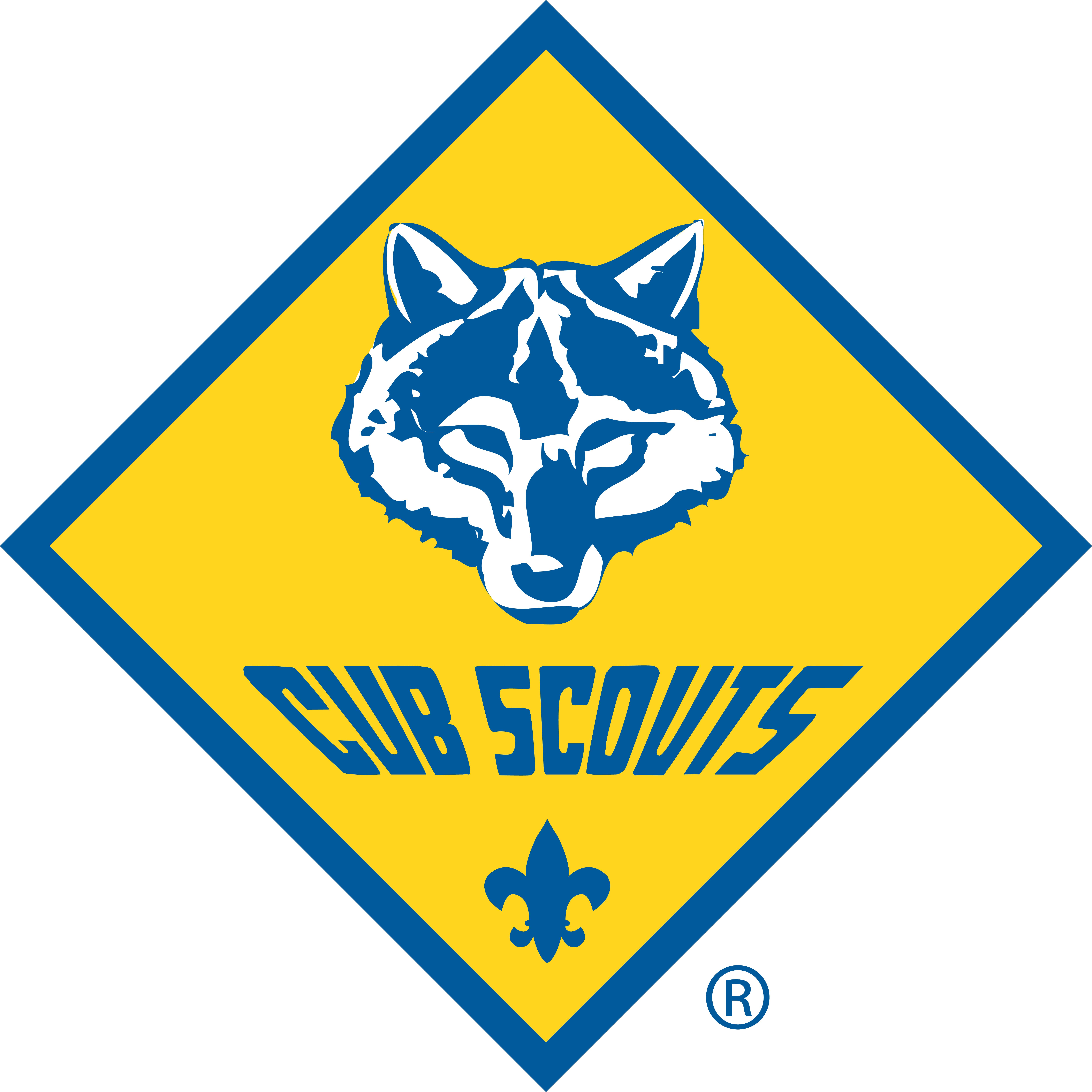 Pack 2008 Logo
